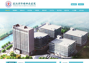 网站建设策划案例_武汉万济精神病医院